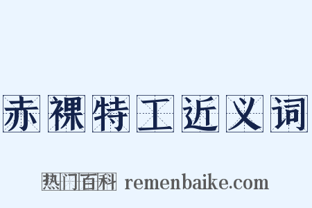 赤裸特工近义词是什么意思的图片
